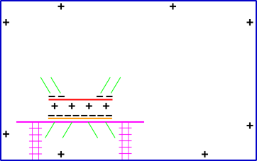 electrophorus-2