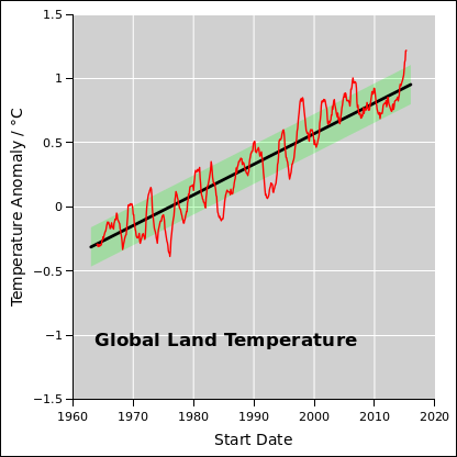 global-t-linear