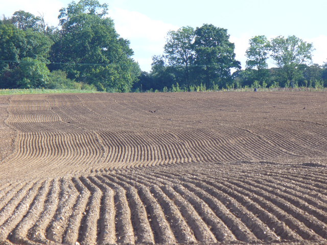 ridge-and-furrow