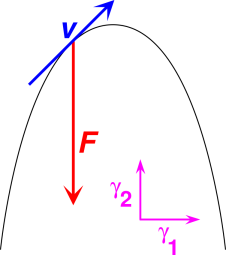 vector-vs-basis