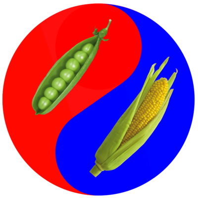yin-yang-peas-corn-050